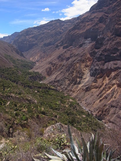 man kann sich nicht satt sehen an dem gewaltigen Canyon del Colca