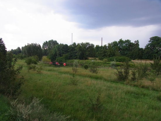 So fing es gemütlich auf dem Regnitzradweg an...