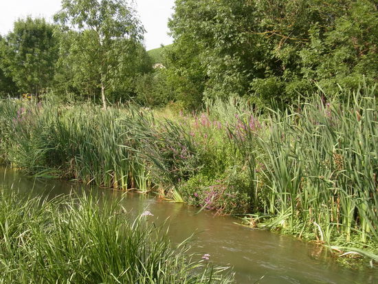 sieht doch ganz niedlich und friedlich hier aus