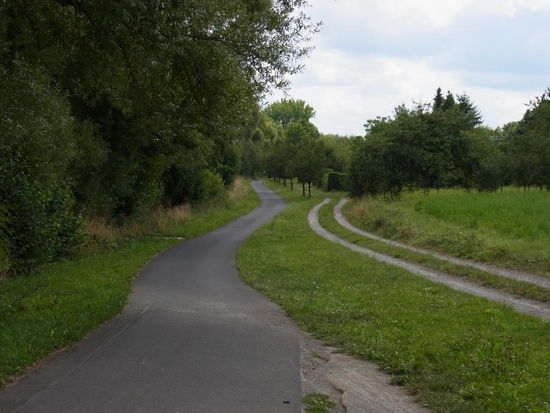 Der Radweg schlängelt sich so dahin