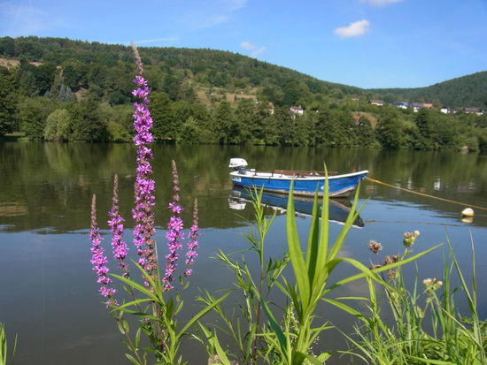 Die Sonne scheint...