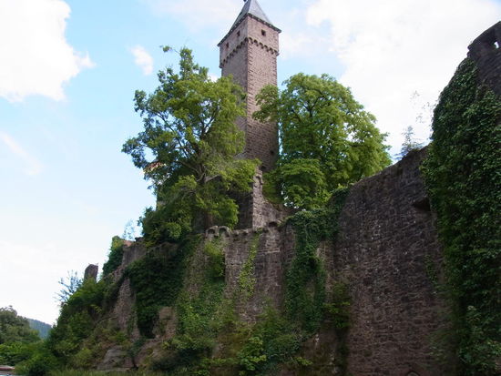 Die Hirschburg