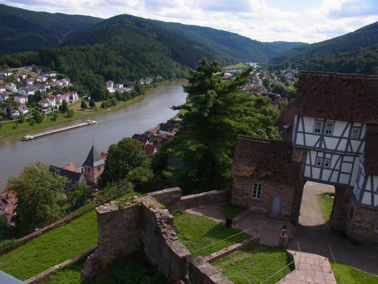 Blick von der Hirschburg auf den Neckar