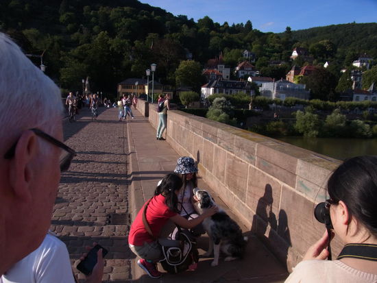 Asiatische Touristen, die unbedingt mit Dana fotografiert werden wollten