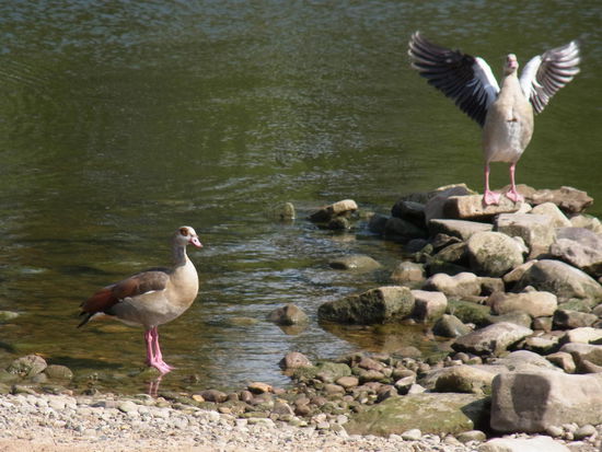 Haaallooo... hier wird jetzt nicht geschlafen