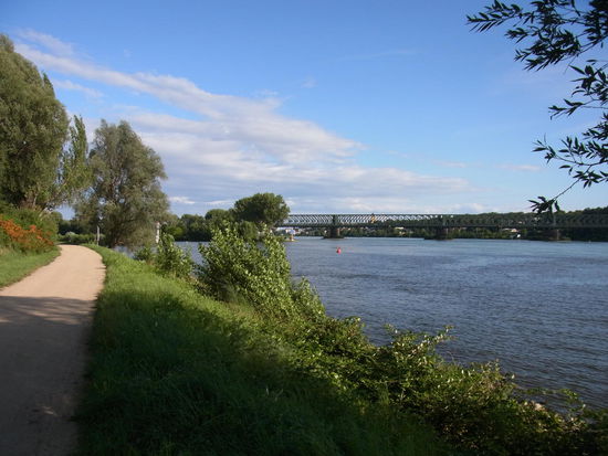 Von links fließt der Main in den mächtigen Rhein