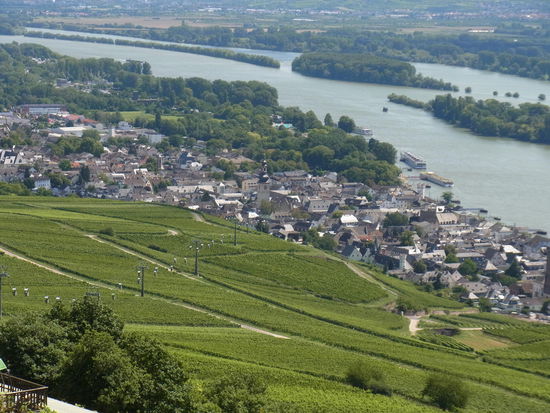 Blick auf Rüdesheim