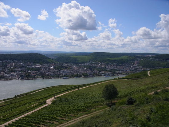 Irgendwo dahinten fließt die Nahe in den Rhein...