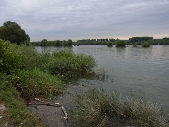 Der wundervolle Rhein bei trübem Wetter