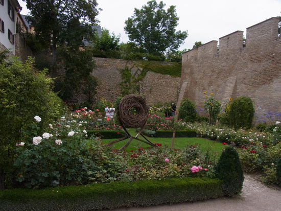 Ein prächtiger Duftrosengarten