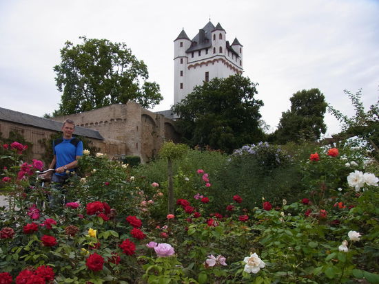 Sogar blaue Rosen gibt es hier...