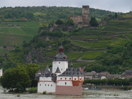 so was sieht man am Rhein...