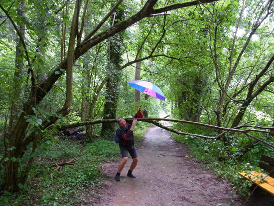 wie ging das noch mal mit dem Schirm?