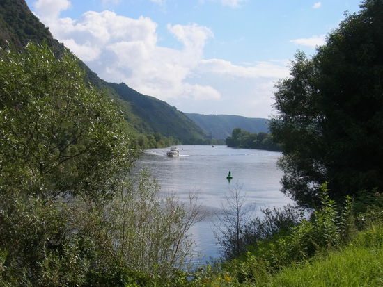 Moselausblick