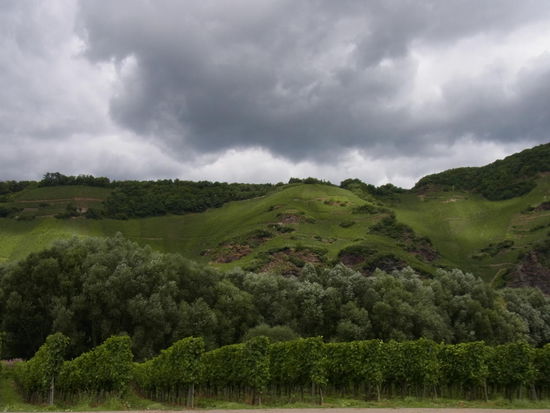 Mosellandschaft