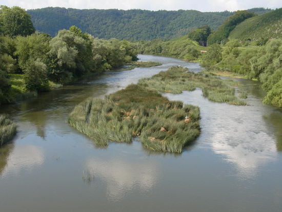 die Saar:                                               "Flusslandschaft in der Flusslandschaft"