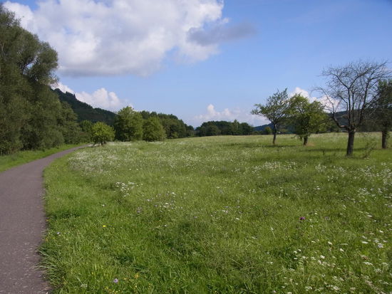 Saar-Radweg