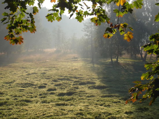 ... hier etwas besser.