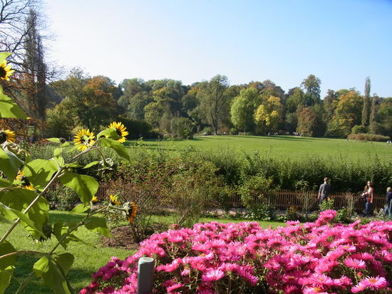 Toller Blick vom Sommerhaus-Garten in den Park