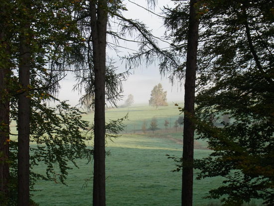 Blick von unserer Terrasse...
