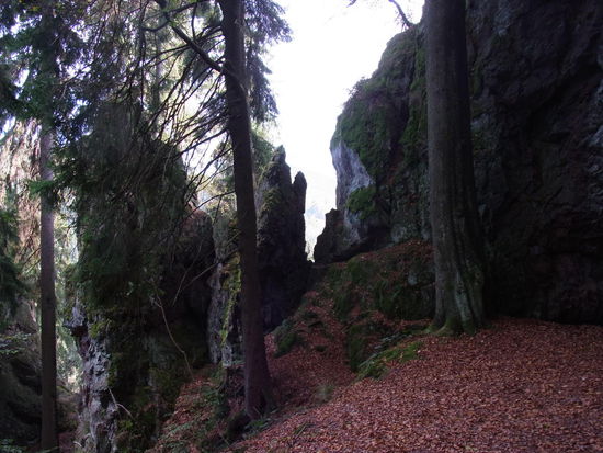 Na, wo versteckt sich der Troll?