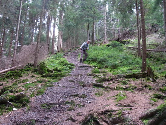 Keine Sorge, die Wanderschuhe halten den Abstieg aus.
