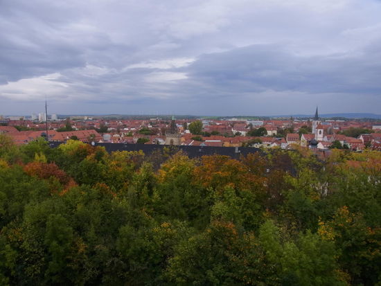 ein Haufen bunter Bäume, endlich sieht man den Herbst deutlich