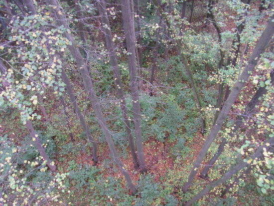 Blick in den Abgund - ist doch ganz schön hoch oben