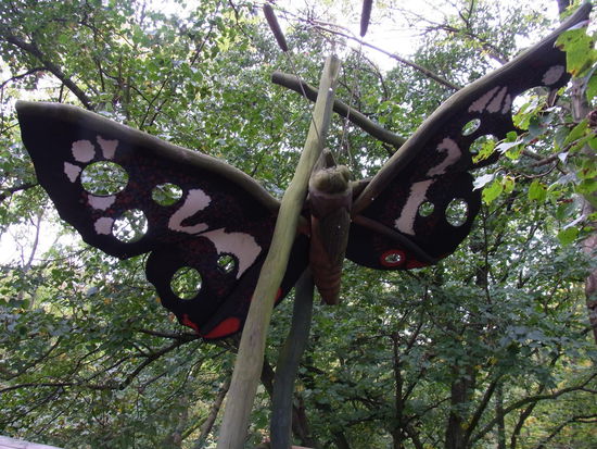 Überall tolle Tiere aus Holz an jeder Infostation