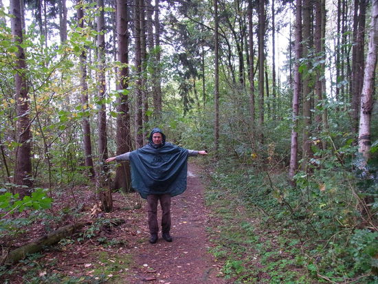 Kurzer Abstecher durch den Wald