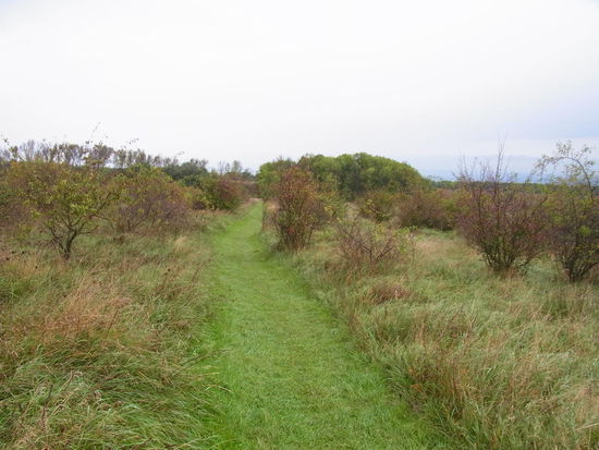 Kurzzeitig hört es auf mit dem Regen