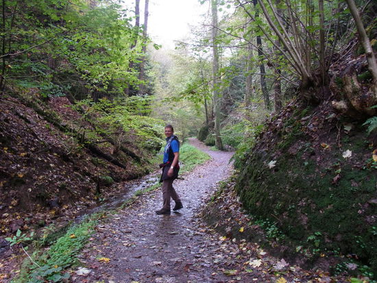 Der Weg wird immer schmaler...