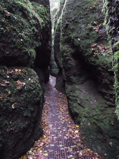 Mitten in der Drachen-Schlucht