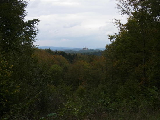 Waldblick auf die Wartburg