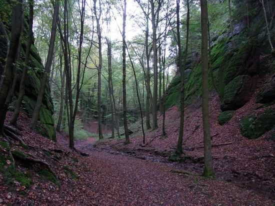 Am Anfang der Landgrafenschlucht