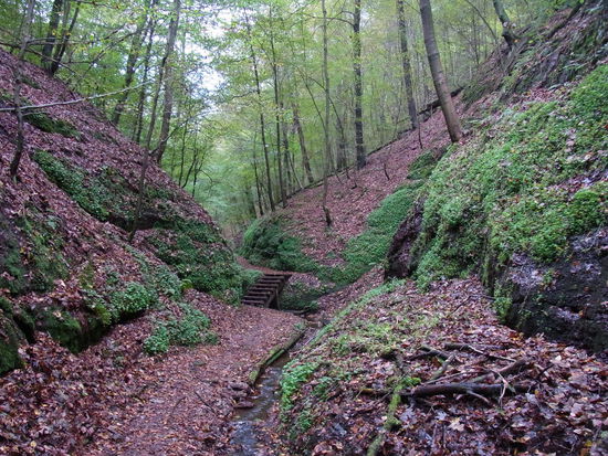 schon etwas weiter drin