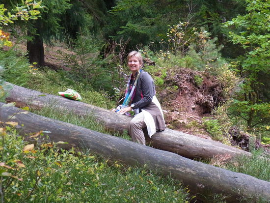 Über Baumstämme kann man auch klettern