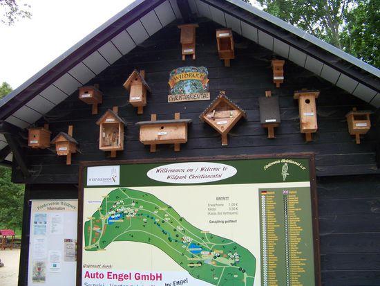 Eine Auswahl und Veranschaulichung von Nistmöglichkeiten für die Vögel...