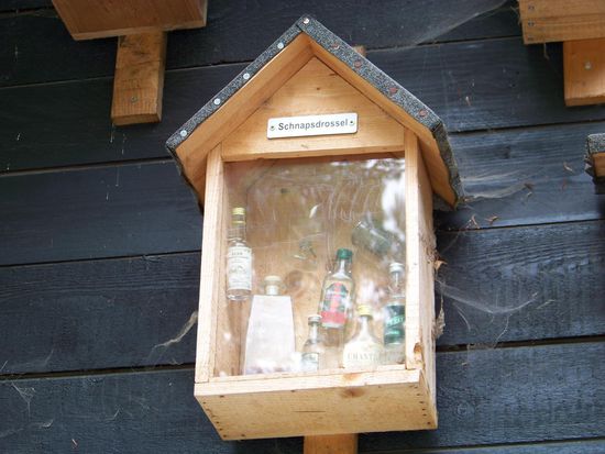 ...und die vom Aussterben bedrohte Schnapsdrossel