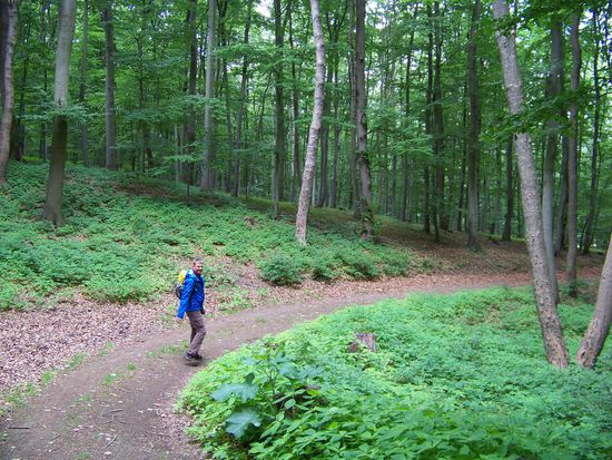 und rein in den Wald