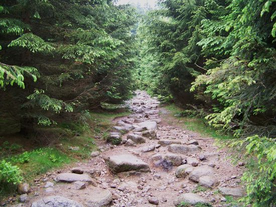 ...denn bei diesen Brocken ist jede Unterstützung willkommen