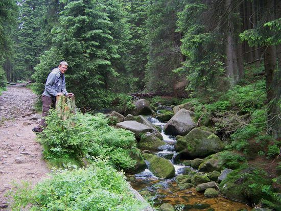 idyllisches Bächlein