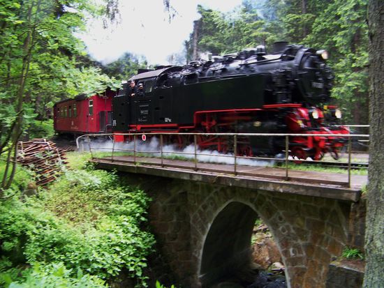 auf diese Transportmöglichkeit haben auch wir ganz bewusst verzichtet