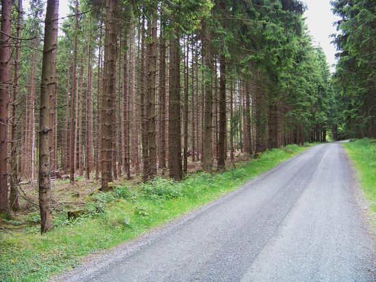 mehr Strasse als Wanderweg