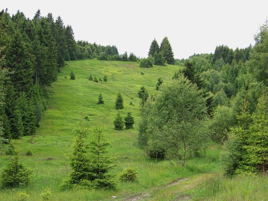 Trotzdem ab und zu schöne Aussichten drumherum