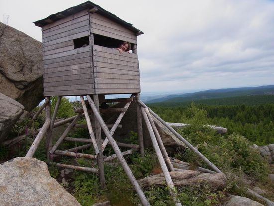 Kuckuck, hier bin ich...