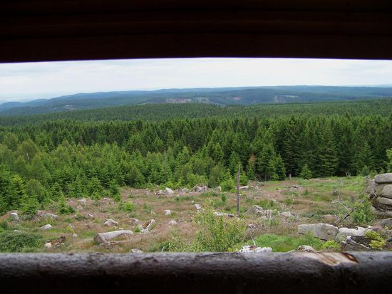 ...und habe einen wunderbaren Weitblick.