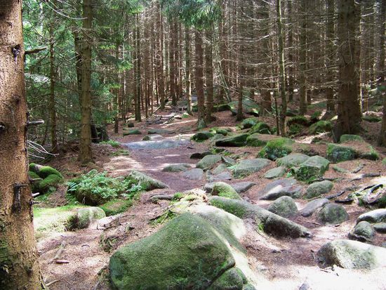 Der steinige Zugangsweg zum Ottofelsen