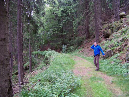 Wegstück am "Hippelhang"