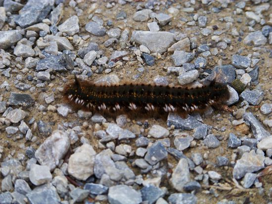 erkennt hier jemand wo vorn und wo hinten ist?